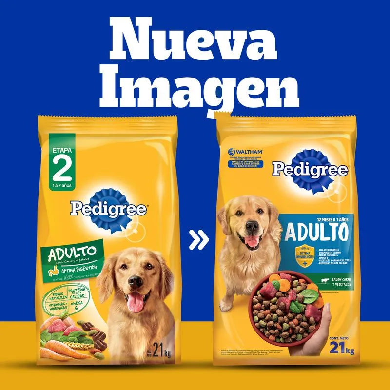 Pedigree Perro
