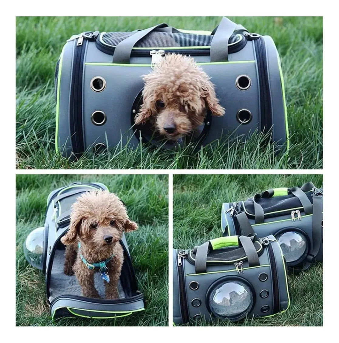 Bolso Transportador Mascota Gato/perro Visor Rigido 51x26x29