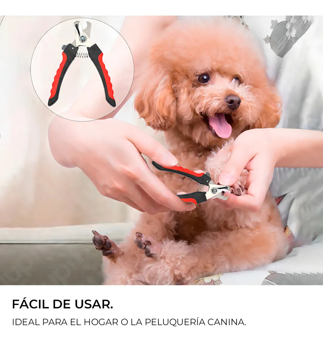 Set Alicate Corta Uñas Y Lima Para Perros Y Gatos