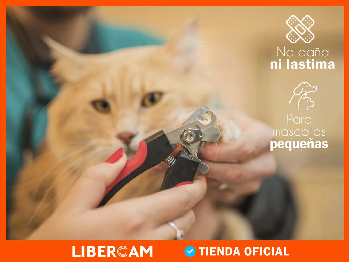 Set Alicate Corta Uñas Y Lima Para Perros Y Gatos